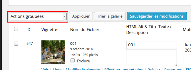 actions_groupées
